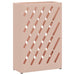 Suport pentru umbrele cu depozitare Roz 28 x 12 x 41 cm Oțel - WALTI WALTI