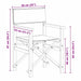 Scaun pliabil pentru directori Gri 56 x 54 x 87 cm - WALTI WALTI