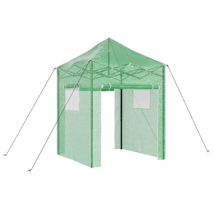 Seră cu cadru pop-up cu acoperiș Verde 200 x 200 x 300 cm Fier - WALTI WALTI