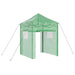 Seră cu cadru pop-up cu acoperiș Verde 200 x 200 x 300 cm Fier - WALTI WALTI