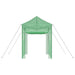 Seră cu cadru pop-up cu acoperiș Verde 200 x 200 x 300 cm Fier - WALTI WALTI