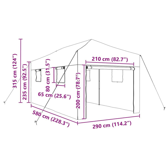 Seră cu cadru pop-up cu acoperiș Verde 290 x 580 x 315 cm Fier - WALTI WALTI