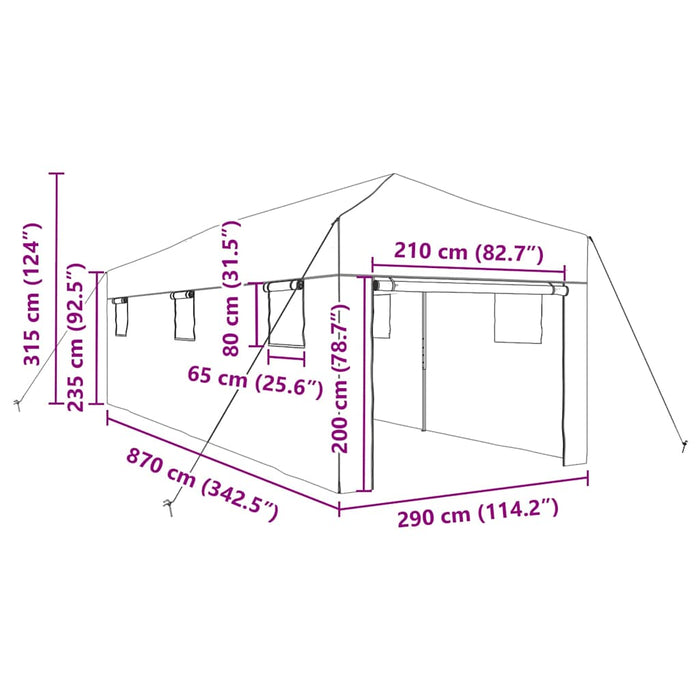 Seră cu cadru pop-up cu acoperiș Verde 290 x 870 x 315 cm Fier - WALTI WALTI