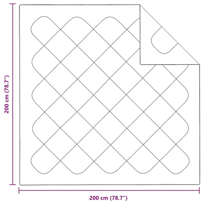 Plapumi & Pături Alb 200 x 200 cm Microfibră - WALTI WALTI