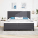 Pat cu arc LED cu headboard Gri închis și alb 200 x 200 cm - WALTI WALTI