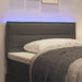 Tăblie LED cu benzi LED cu headboard Gri închis 90 cm țesătură - WALTI WALTI