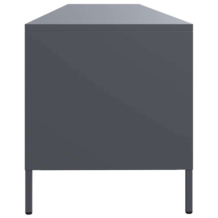 Dulap TV, antracit, 202x39x43,5 cm, oțel laminat la rece - WALTI WALTI