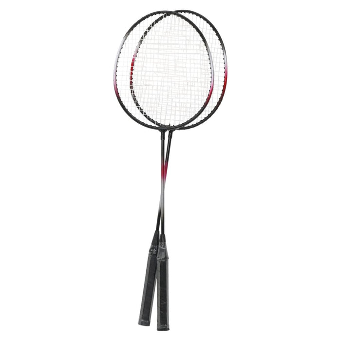 Set badminton 2 rachete/plasă/cutie de depozitare 292x30x152 cm - WALTI WALTI