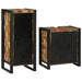 Set de mobilier pentru baie cu ușă 2 pcs Lemn recuperat solid - WALTI WALTI