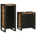 Set de mobilier pentru baie cu ușă 2 pcs Lemn recuperat solid - WALTI WALTI