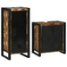 Set de mobilier pentru baie cu ușă 2 pcs Lemn recuperat solid - WALTI WALTI