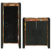 Set de mobilier pentru baie cu ușă 2 pcs Lemn recuperat solid - WALTI WALTI