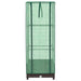 Strat înălțat cu husă de seră, aspect ratan, 40x40x123 cm - WALTI WALTI