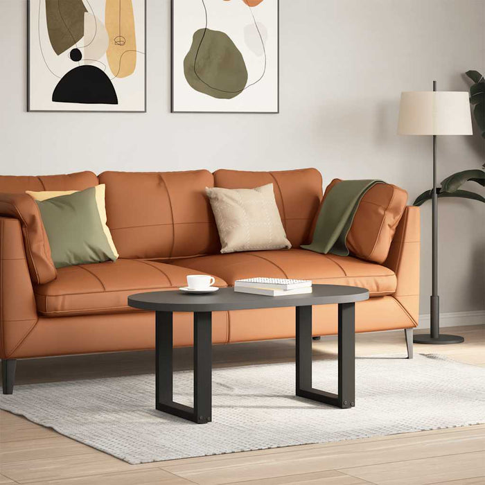 Picioare pentru măsuță de cafea în formă de U, 2 buc., negru, 28x(42-43) cm, oțel WALTI