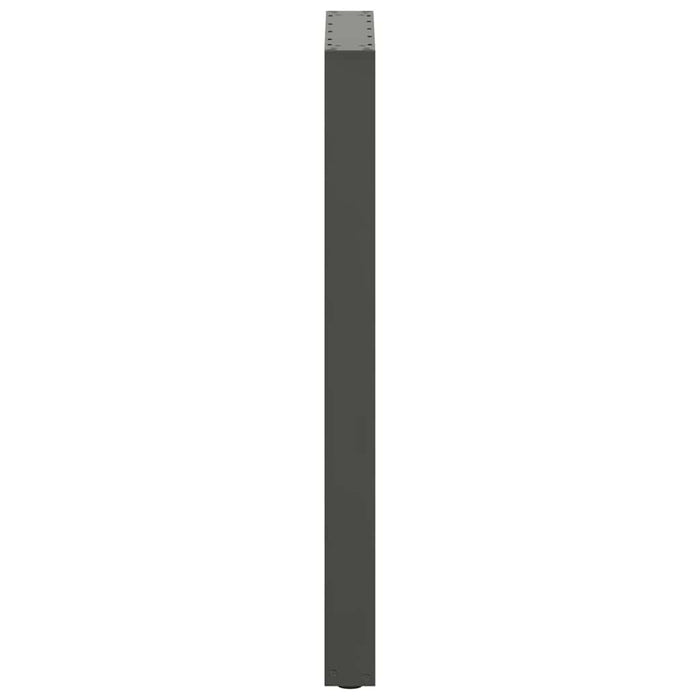 Picioare de masă de bar în formă de U, 2 buc., antracit, 50x(100-101) cm, oțel - WALTI WALTI