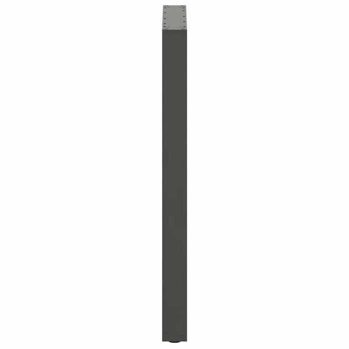 Picioare de masă de bar în formă de U, 2 buc., antracit, 60x(100-101) cm, oțel WALTI