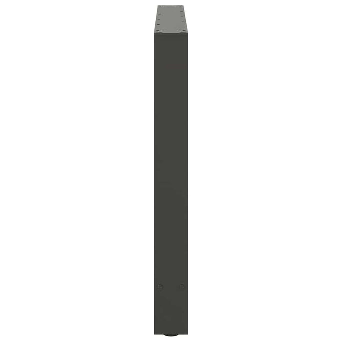 Picioare de masă antracit, 2 buc., 100x(72-73) cm, oțel WALTI