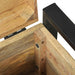 Cufere de Depozitare Maro 40 x 30 x 30 cm Lemn masiv de mango - WALTI WALTI