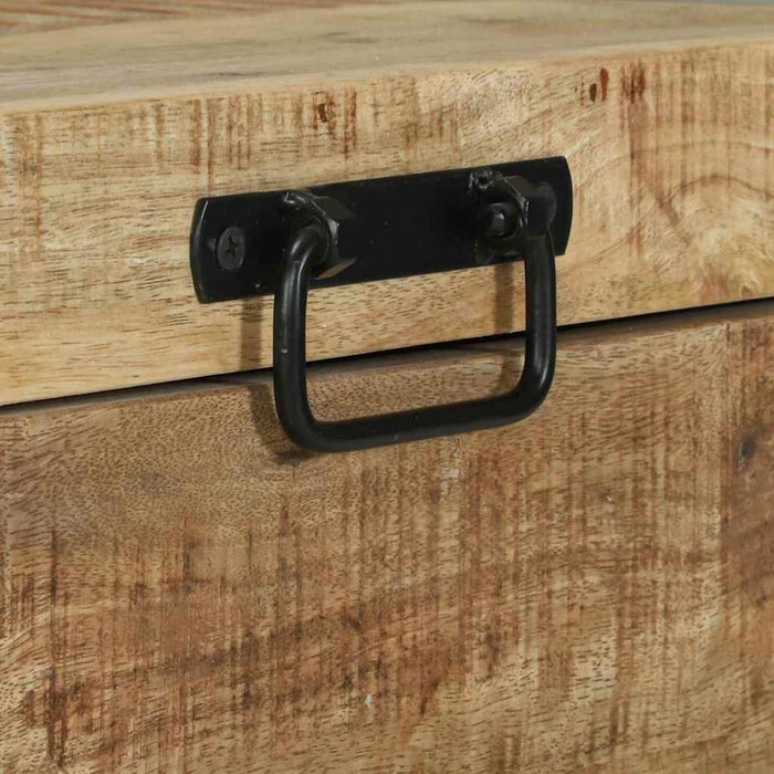 Lade de Depozitare Maro 60 x 30 x 30 cm Lemn masiv de mango - WALTI WALTI