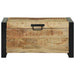 Lade de Depozitare Maro 60 x 30 x 30 cm Lemn masiv de mango - WALTI WALTI