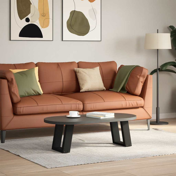 Picioare pentru măsuță de cafea în formă de U, 2 buc., negru, 30x(30-31) cm, oțel - WALTI WALTI