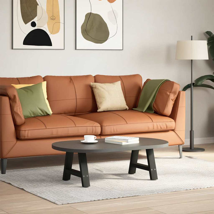 Picioare pentru măsuță de cafea în formă de A, 2 buc., negru, 50x(30-31) cm, oțel WALTI