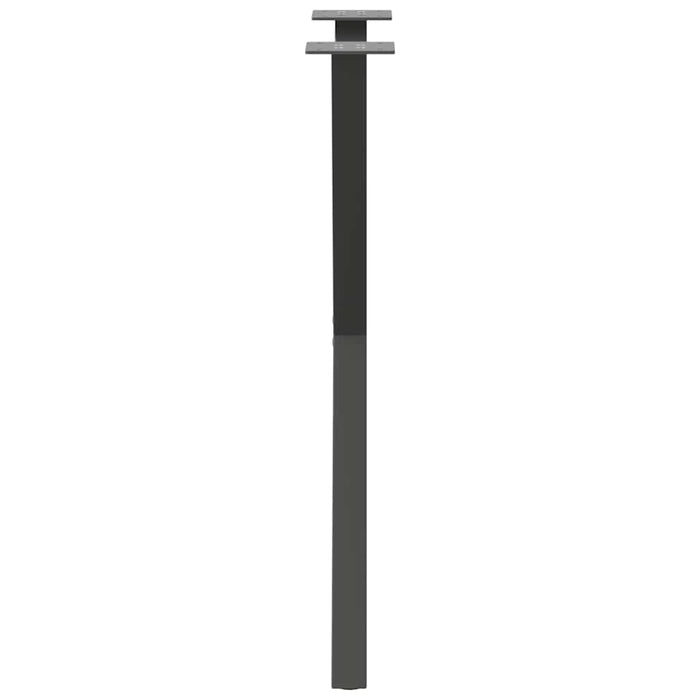Picioare de masă în formă de X, 2 buc., antracit, 57x(72-73) cm, oțel WALTI