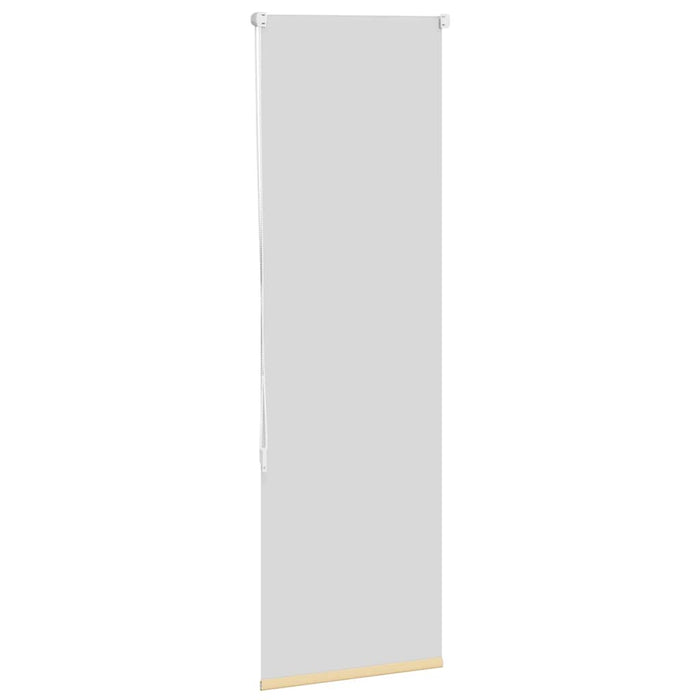 Jaluzea cu role opace bej 60x150 cm lățime material 55,7 cm - WALTI WALTI