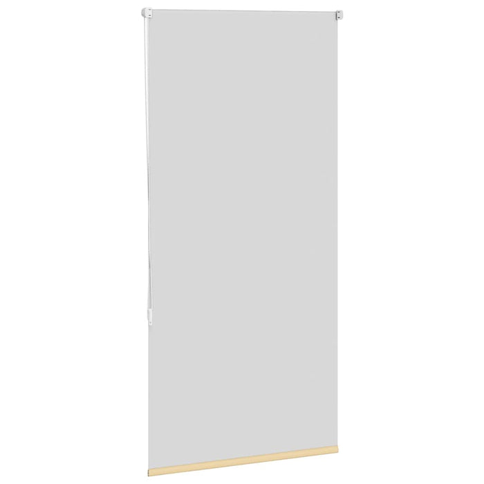 Jaluzea cu role opace bej 65x150 cm lățime material 60,7 cm WALTI