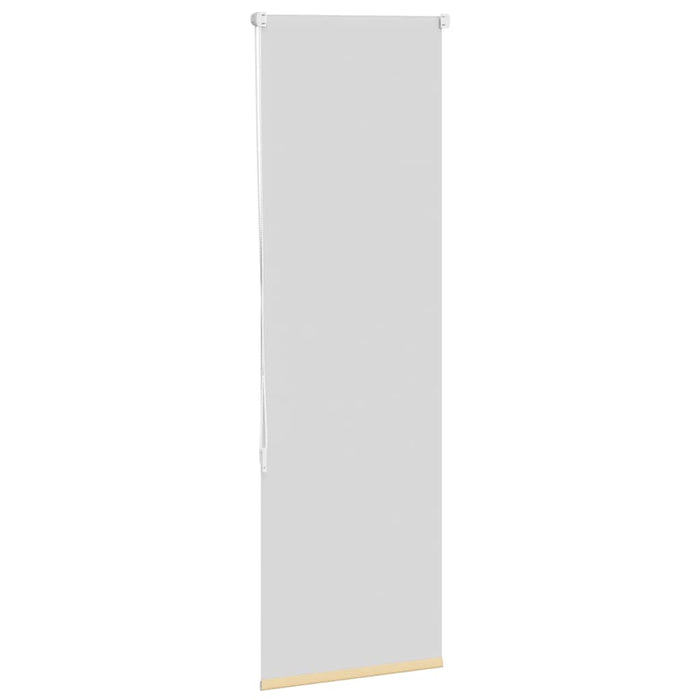 Jaluzea cu role opace bej 50x175 cm lățime material 45,7 cm - WALTI WALTI