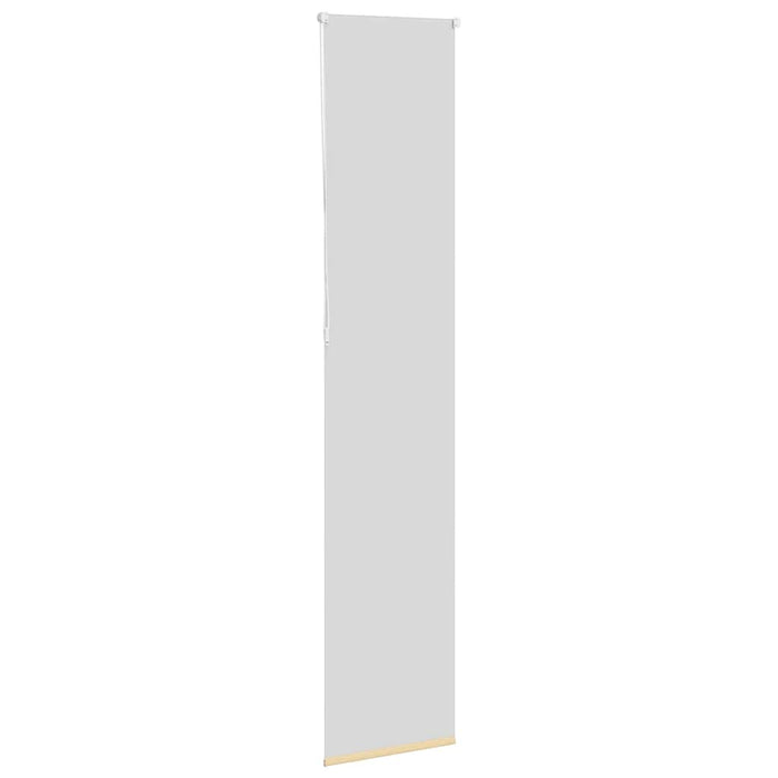 Jaluzea cu role opace bej 55x210 cm lățime material 50,7 cm - WALTI WALTI