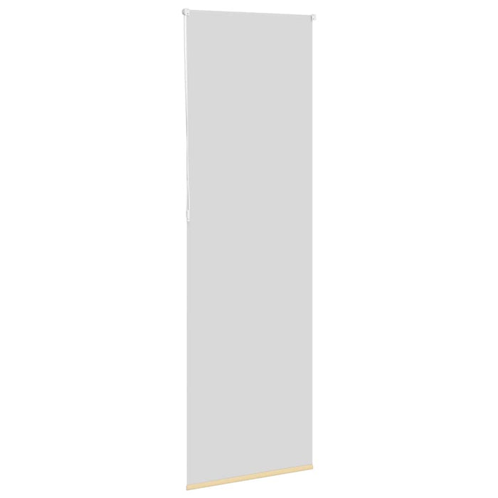 Jaluzea cu role opace bej 70x210 cm lățime material 65,7 cm - WALTI WALTI