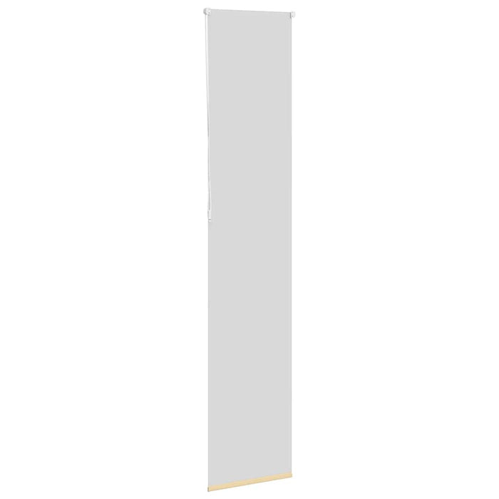 Jaluzea cu role opace bej 40x230 cm lățime material 35,7 cm - WALTI WALTI