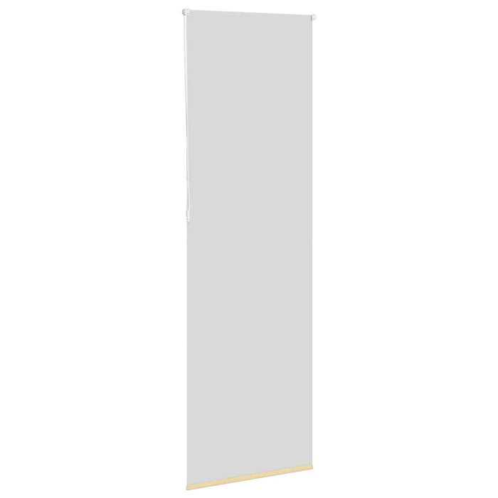 Jaluzea cu role opace bej 70x230 cm lățime material 65,7 cm - WALTI WALTI
