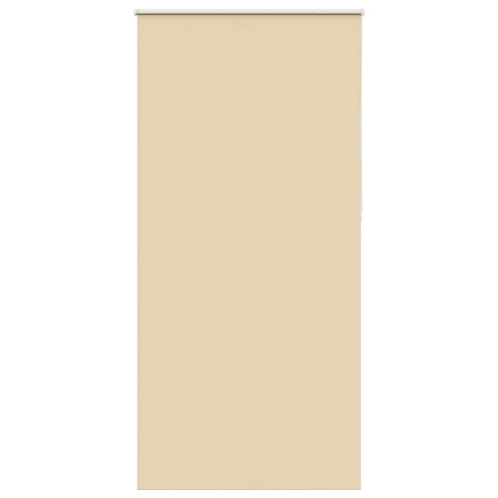Jaluzea cu role opace bej 95x230 cm Lățime material 90,7 cm - WALTI WALTI