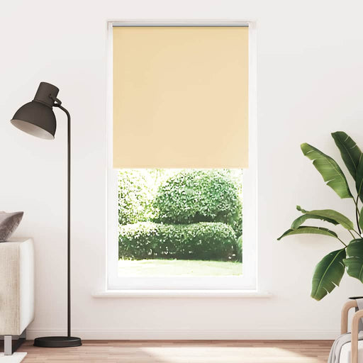 Jaluzea cu role opace bej 115x230 cm Lățime material 110,7 cm - WALTI WALTI