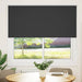 Jaluzea cu role opace negru 150x130 cm Lățime material 146,6 cm - WALTI WALTI