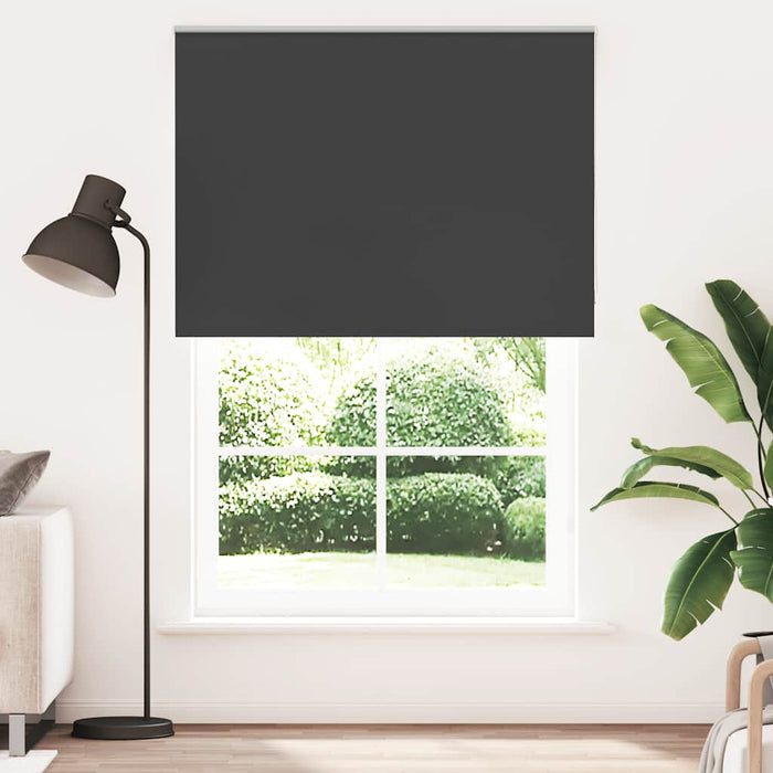 Jaluză cu role opace negru 150x210 cm Lățime țesătură 146,6 cm WALTI