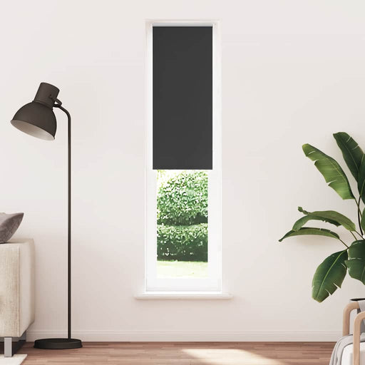 Jaluzea cu role opace negru 55x230 cm lățime material 50,7 cm - WALTI WALTI