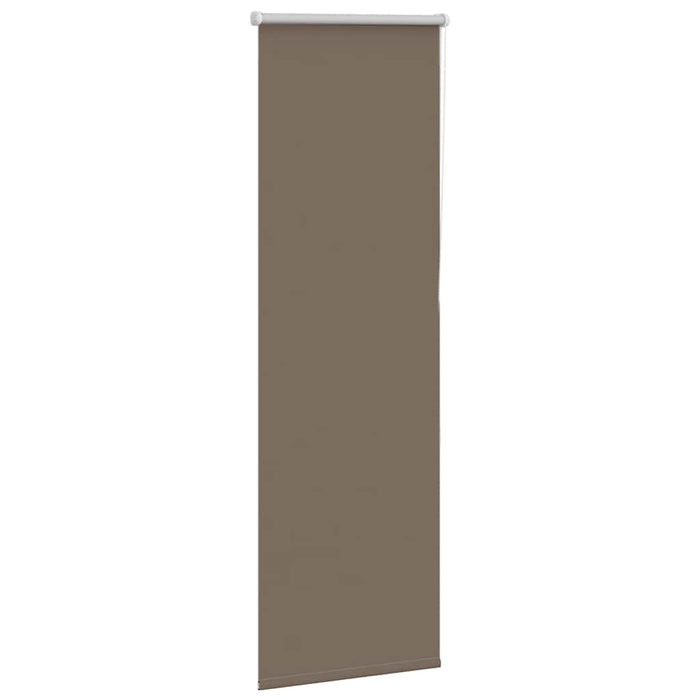 Jaluzea cu role opace cafea 55x150 cm lățime țesătură 50,7 cm WALTI