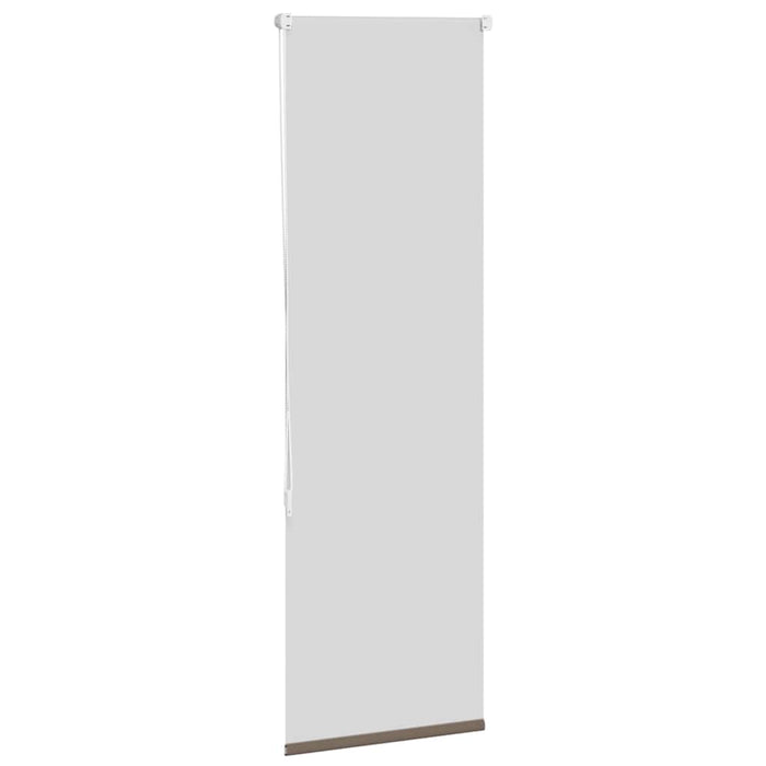 Jaluzea cu role opace cafea 55x150 cm lățime țesătură 50,7 cm WALTI