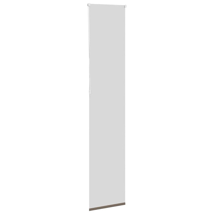 Jaluzea cu role opace cafea 45x230 cm lățime țesătură 40,7 cm WALTI