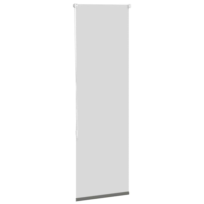 Jaluzea cu role opace gri 55x130 cm lățime material 50,7 cm - WALTI WALTI