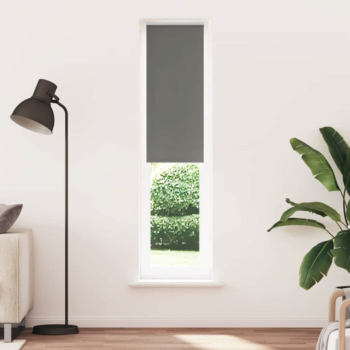Jaluzea cu role opace gri 55x210 cm lățime material 50,7 cm - WALTI WALTI