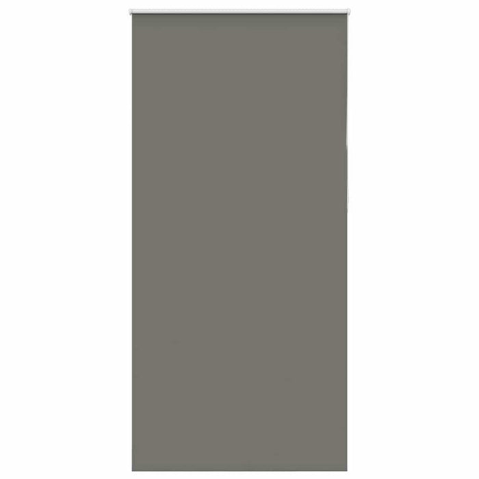 Jaluzea cu role opace gri 95x230 cm Lățime material 90,7 cm - WALTI WALTI