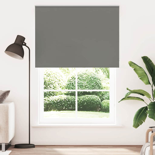 Jaluzea cu role opace gri 165x230 cm Lățime material 161,6 cm - WALTI WALTI