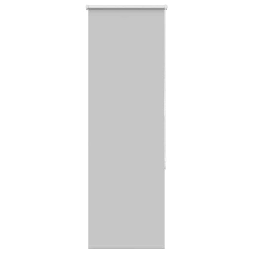 Jaluzea cu role opace 60x130 cm lățime material 55,7 cm - WALTI WALTI