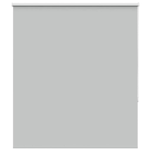 Jaluzea cu role opace gri deschis Lățime material 121,6 cm - WALTI WALTI