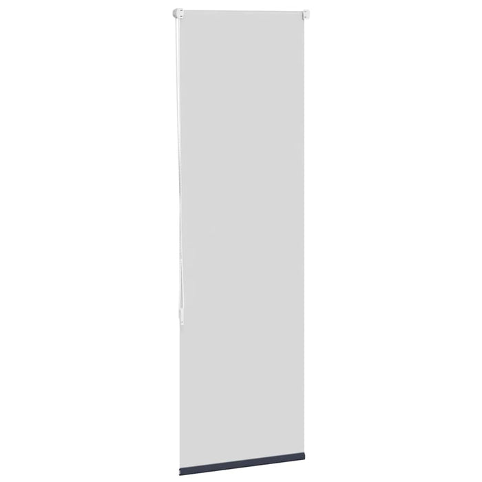 Jaluzea cu role opace 55x130 cm lățime material 50,7 cm WALTI