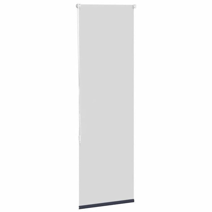 Jaluzea cu role opace 40x150 cm lățime material 35,7 cm - WALTI WALTI